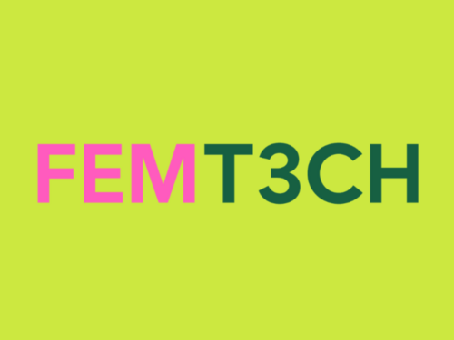 Fem T3ch